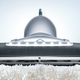 Illustration for article titled Transforming Miele S7 Vacuum Cleaner Can Probably Fly Too